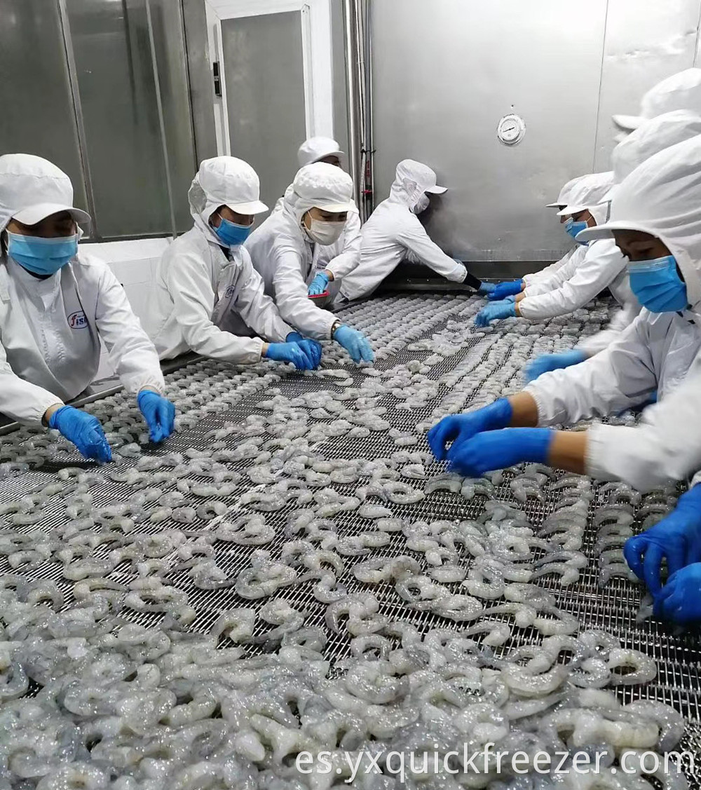 Impact Mesh Belt Tunnel Freezer For Shrimp In Vietnam